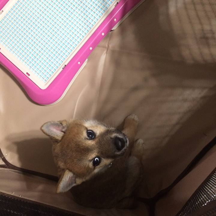 2072570f a30f 447c 8958 bbfb12a69077