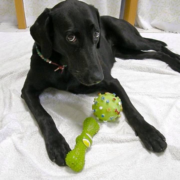 20730b79 c017 4137 93b5 32a263fa66ea