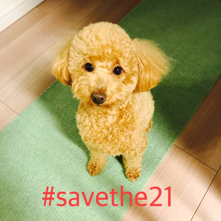 207321dd 3526 4eb8 91f4 17daa28912cc