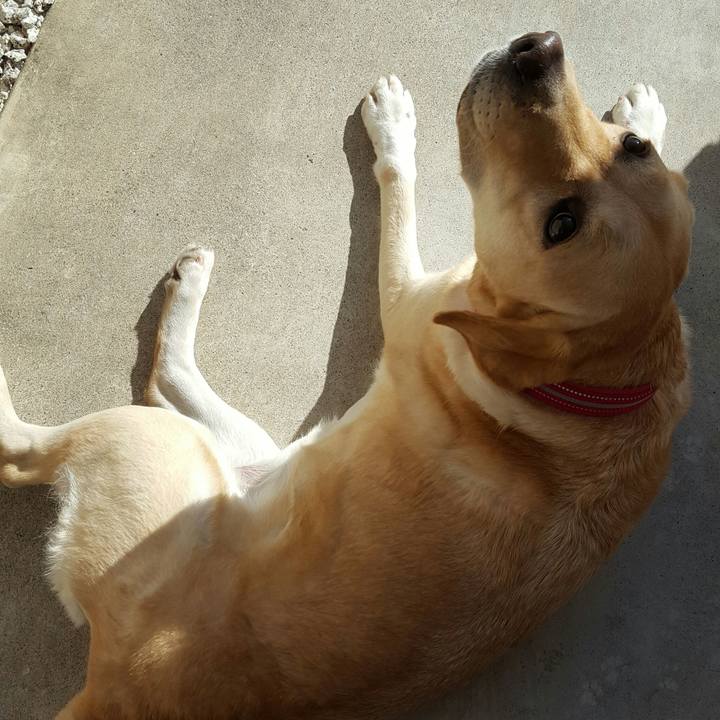 20733338 3fcc 42c0 958b 09261bb3d41a