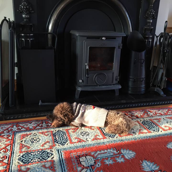 2073d83b cf02 4271 8342 cf29804970be