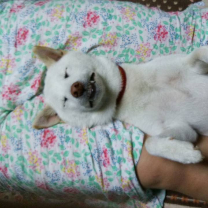 2074f844 3e05 4d4e b929 031c5c81c106