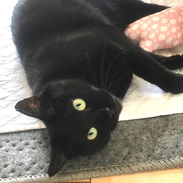 207556fd 9bdc 46a3 bfcf 64fe1fa3b41f