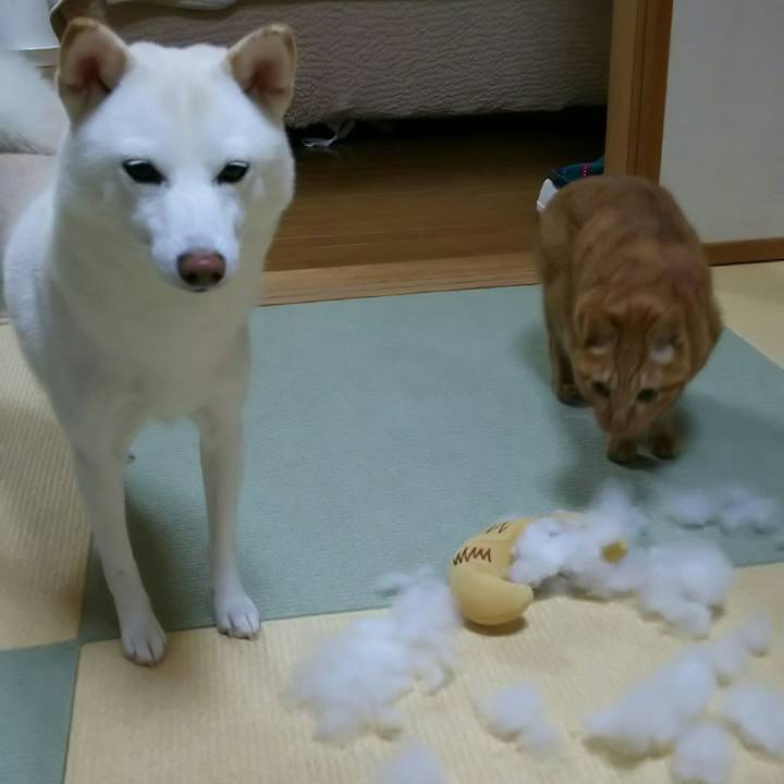 2075b7c9 f43c 4c1c a503 e92be6b2d7f1