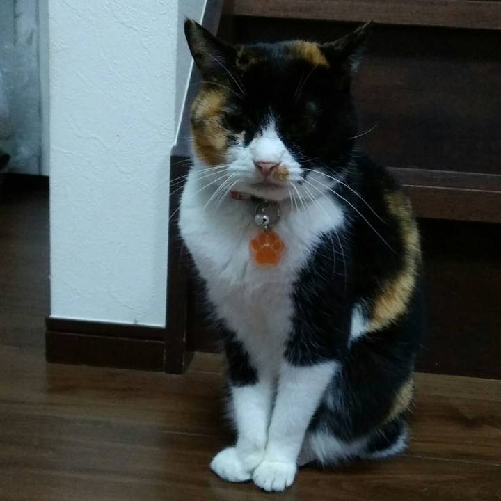 207645ba 08ac 4057 ac83 6139dc89202c