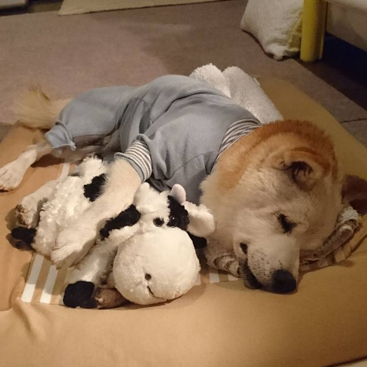 207689ec e1fe 48b5 83b1 13fce5ed83c9