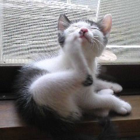 2076d6aa e46d 4d6b 8c94 288492f0169c