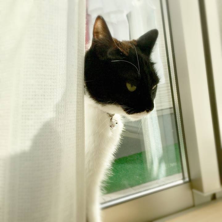 20771475 d31b 495d b86c 72781afcf9f6