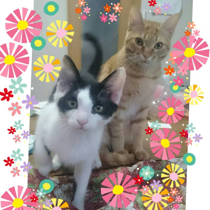 207791f4 fb63 452e 8d8a a3eaf732951a