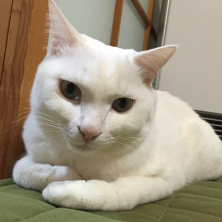 207806be e697 4ae7 a0a7 b48f195daf02