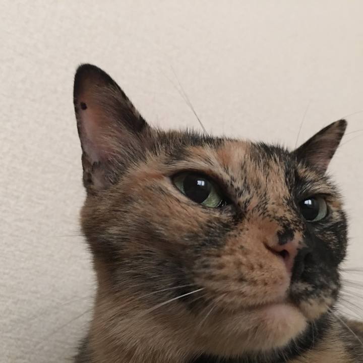 207862e5 4394 4f37 8002 5e3d9ed0020b