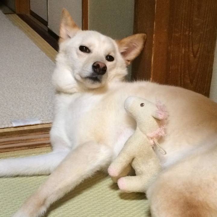 20793cdd 5dbf 4dd7 8490 cd80e0863433