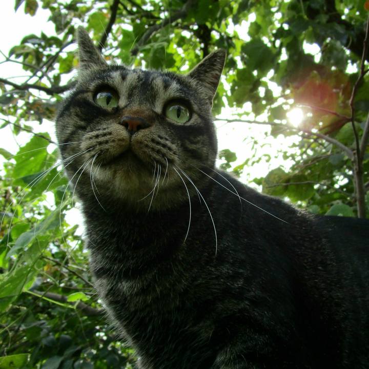 2079cf3f 1cad 4113 b109 99c887e7bb1c