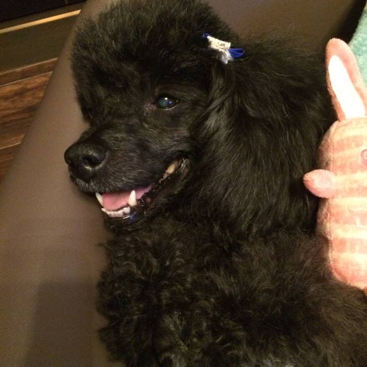 207a52e3 3559 4579 87ef 285056141b56