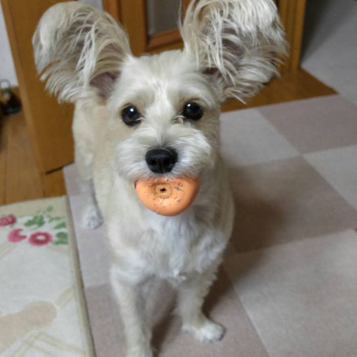 207a5446 b2eb 4642 8a47 d3133aa46922