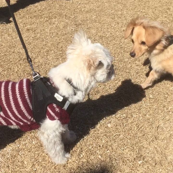 207aa9fe 3df3 4a88 8681 f10125912b4c