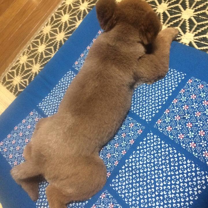 207ac225 ca9a 43e3 a2aa a002379b9e2c