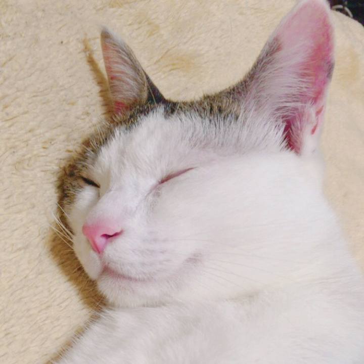 207adc68 b138 41a3 9c3f f4a4bf84dbbf