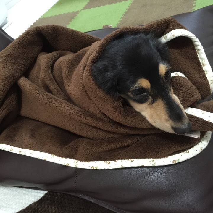 207af880 862c 489b abcb 679de685be94