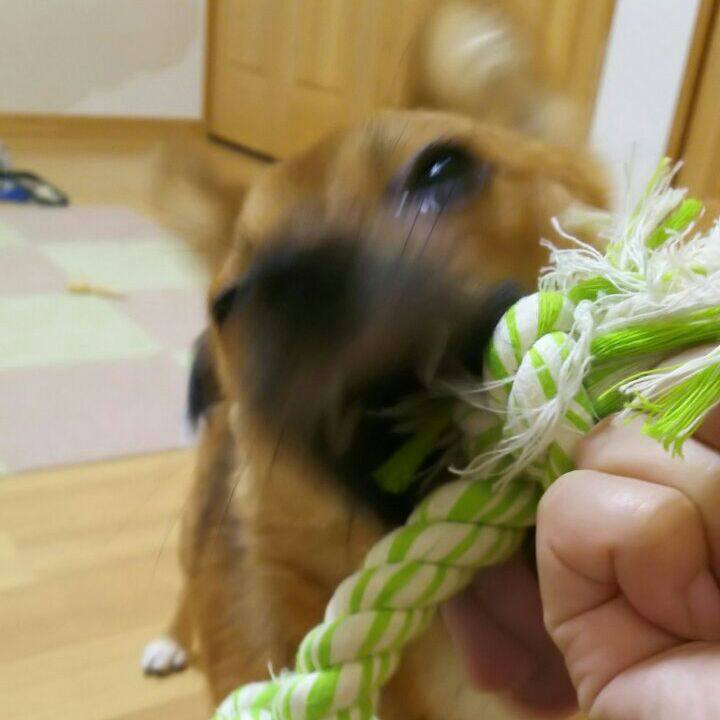 207b0420 fb50 43bc 9d3f 2fccee3c370e