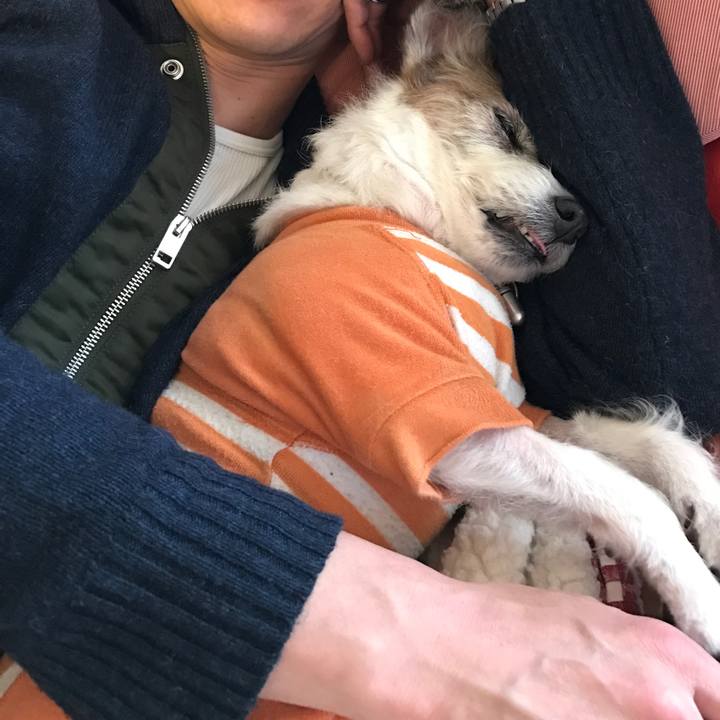 207b8a30 fe9f 49ee ae0a 60be6e7889b0