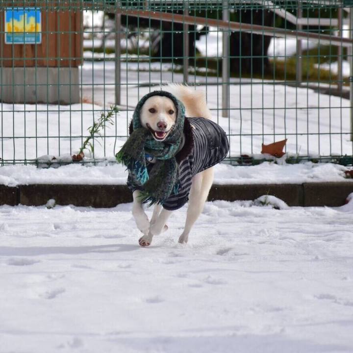 207bbe6b f663 4222 8df3 021799d03920