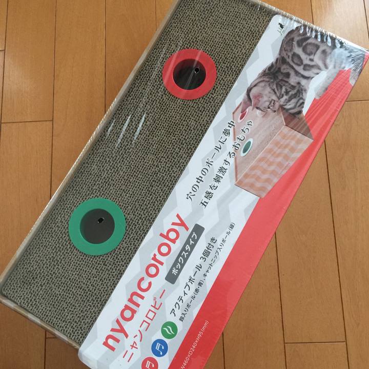 207d25f9 b868 4ac3 bd33 7a6a2a94775c