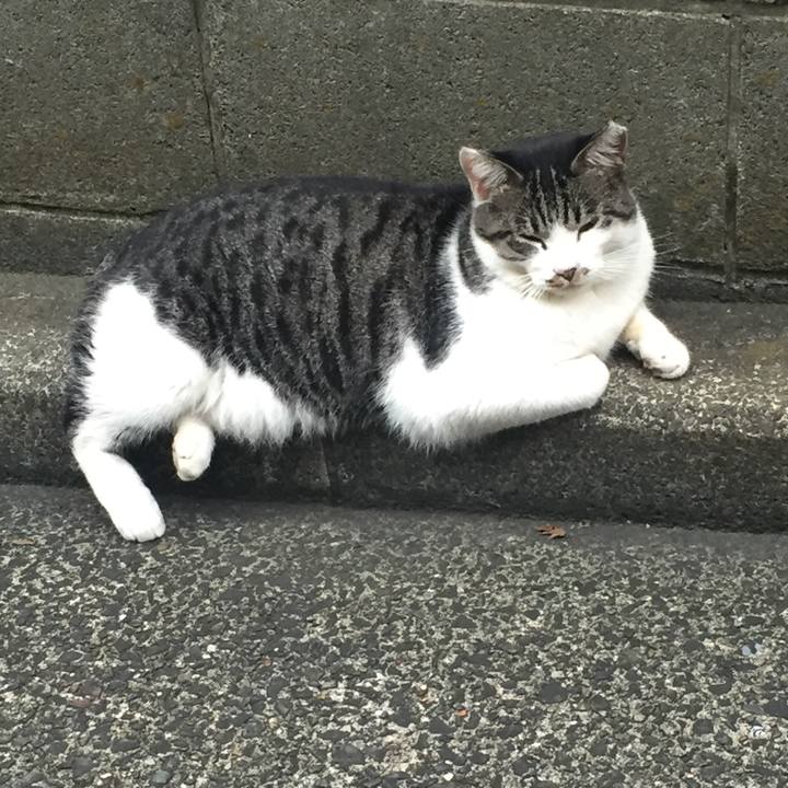 207db419 3af8 42d6 84a3 57ea31cd3960