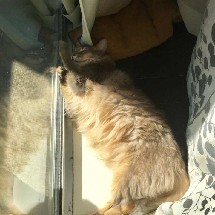 207e2783 0468 4ae4 bce2 34a73faf89b3