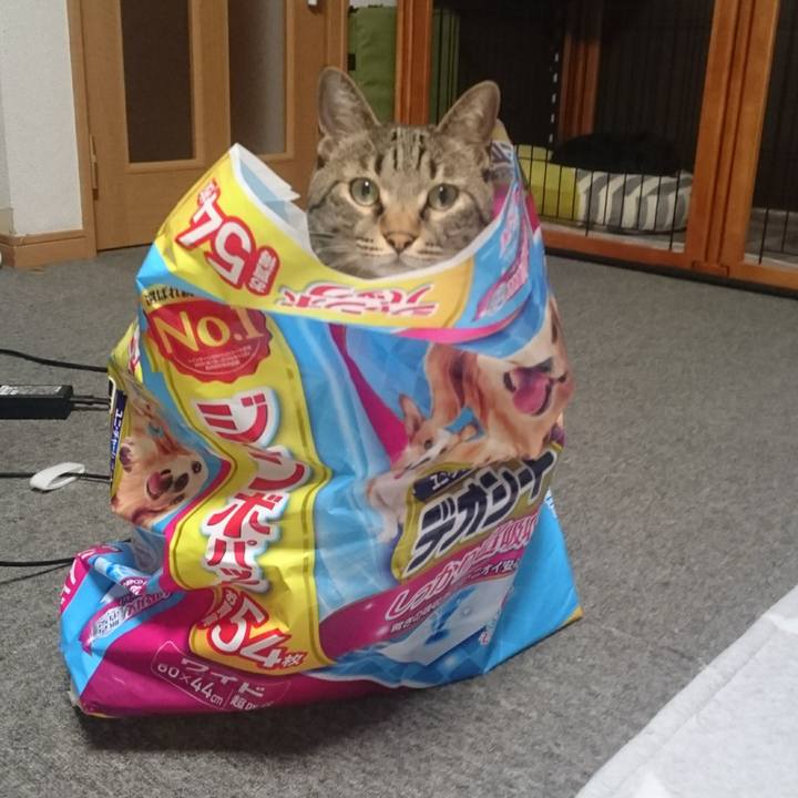 207eb43e 32a6 469c bd06 d3681804571d