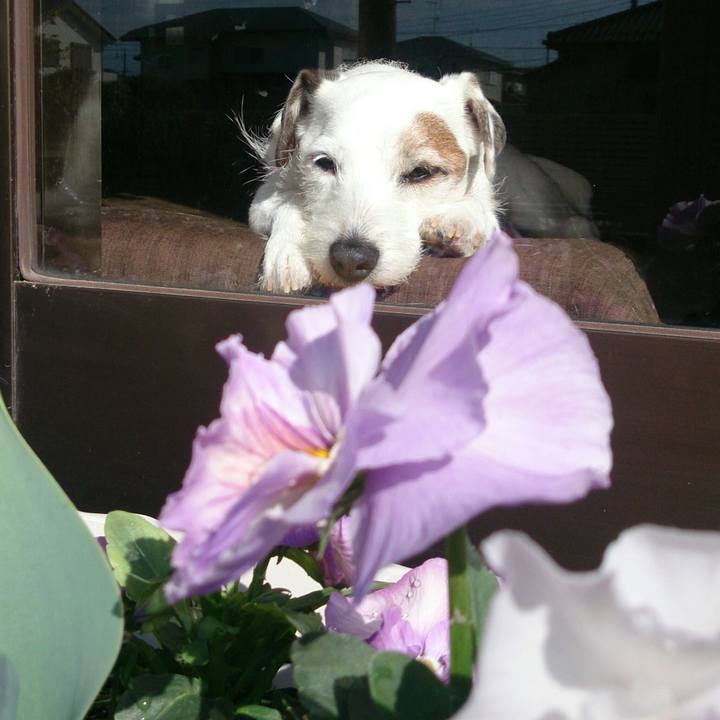 207eec9c 532a 4189 990a aa02ed32cc89