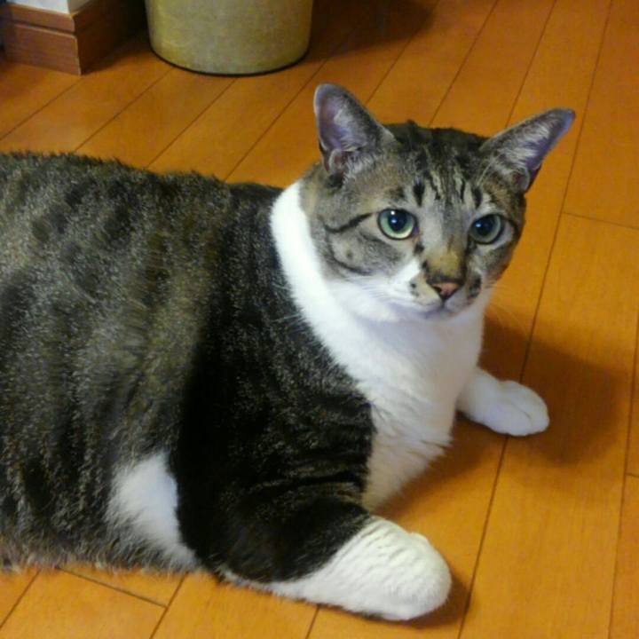 207ef97f 9fc8 4cc4 89c7 e4fa816b448b