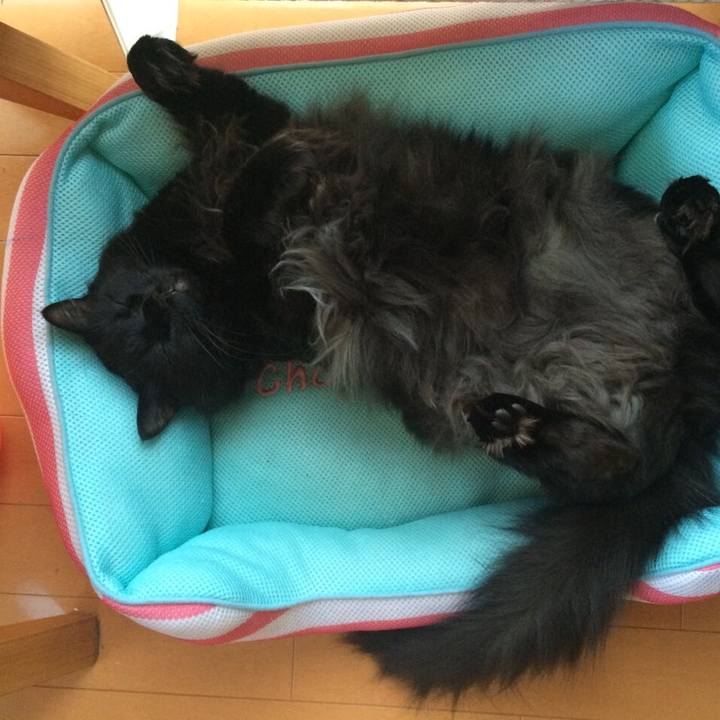 207f6793 3eb5 4ecc bd3b a9ebe353de8d