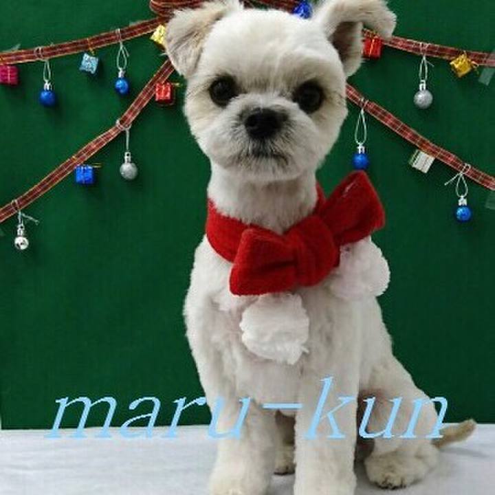 207ff704 f1ca 4a26 a32a 977b7ffd1229