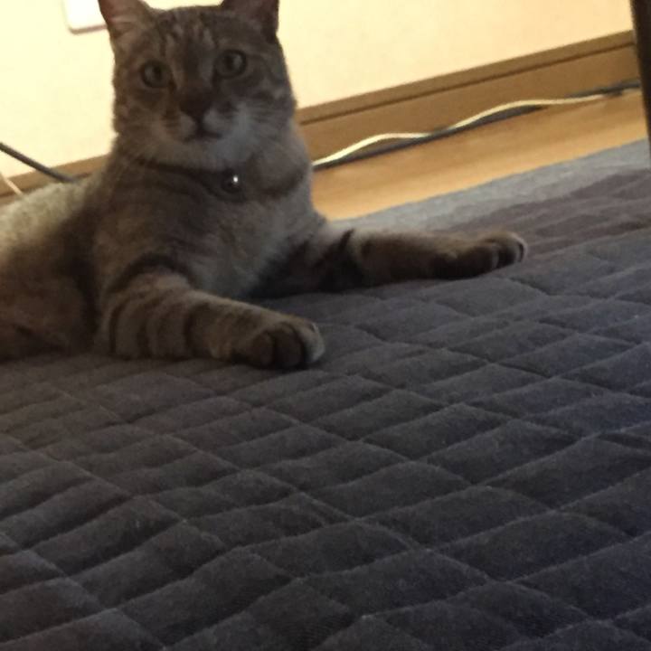 20818c41 9e28 4be2 bc46 7794b6615ed7