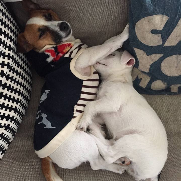 2082b719 b9df 4dce a164 65d36582b9db