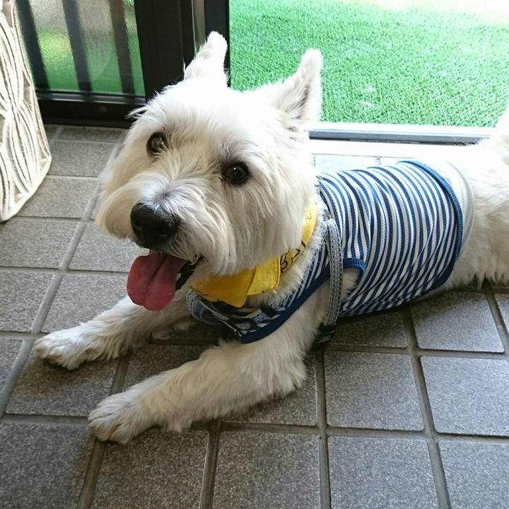 2082d3d6 8d71 4fed 886a dcec2ba7cffd