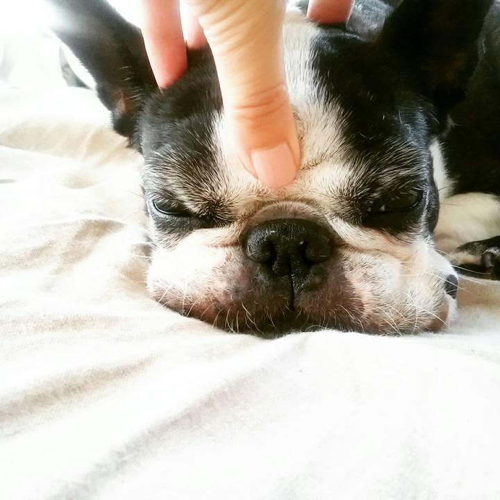 2082f618 2863 4365 9712 e6dba38ec2fe