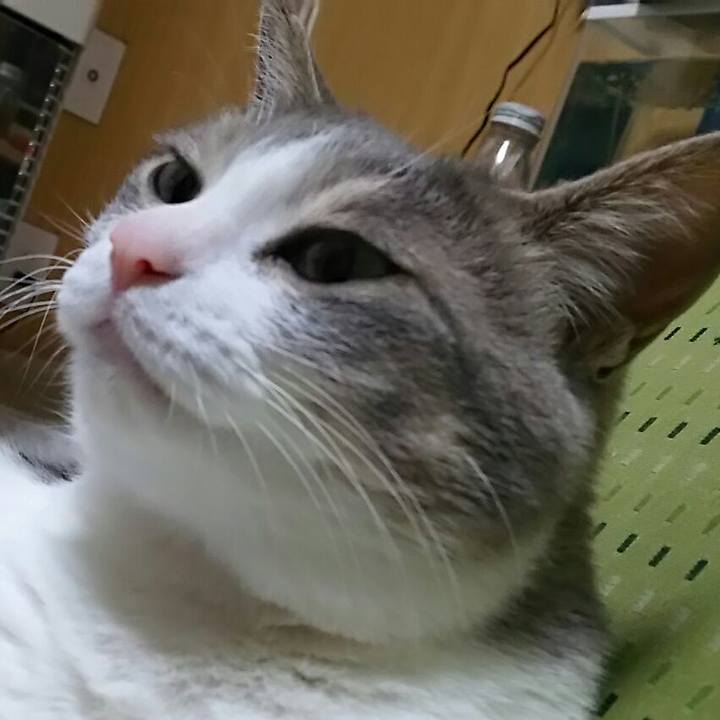 2083da9e 31b3 452e 9a9d 8052fd527e18