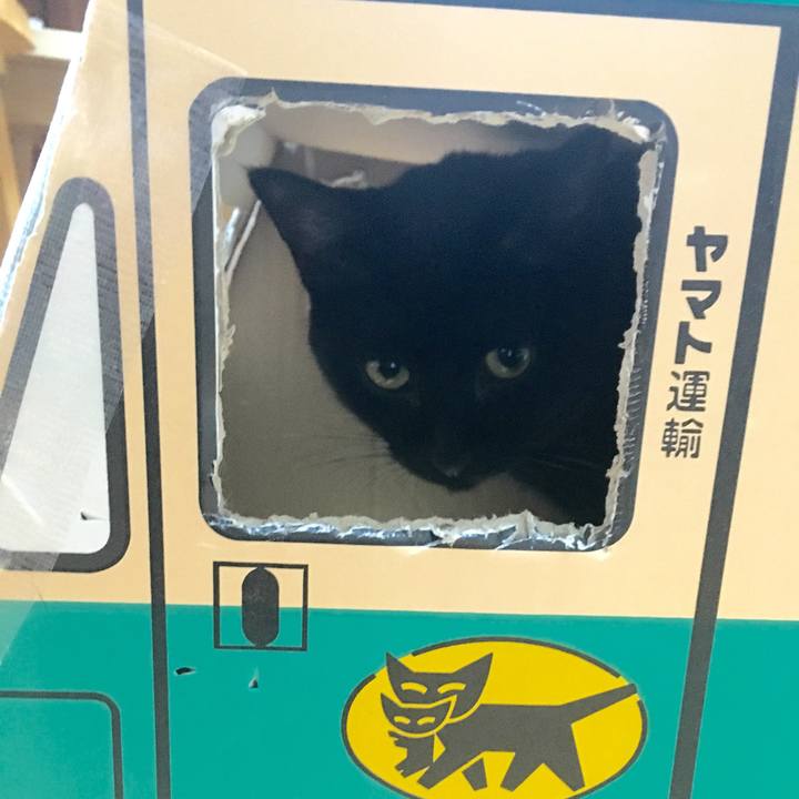 20847de4 9768 4d00 a697 02e427b39332