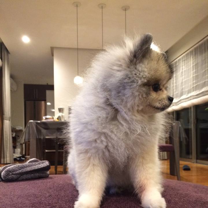 2084a5d6 4d24 47b2 bb1b dc9fd12971ea