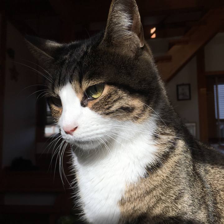 2084a89a 4d1c 41a0 bb21 e130d6bf8af3