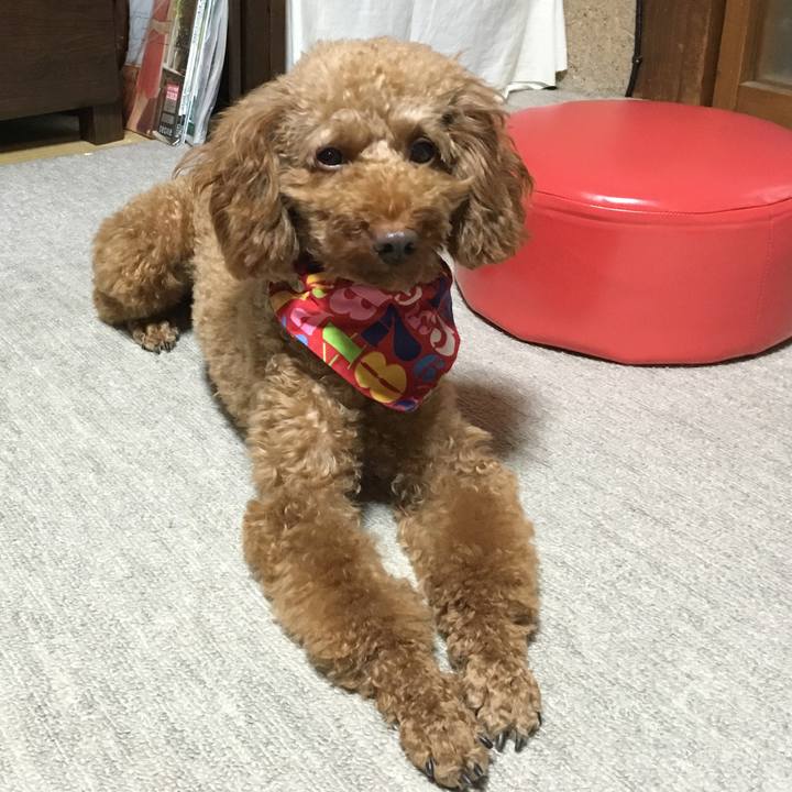 2084ebf7 e2c3 424a b004 702faf917e4d