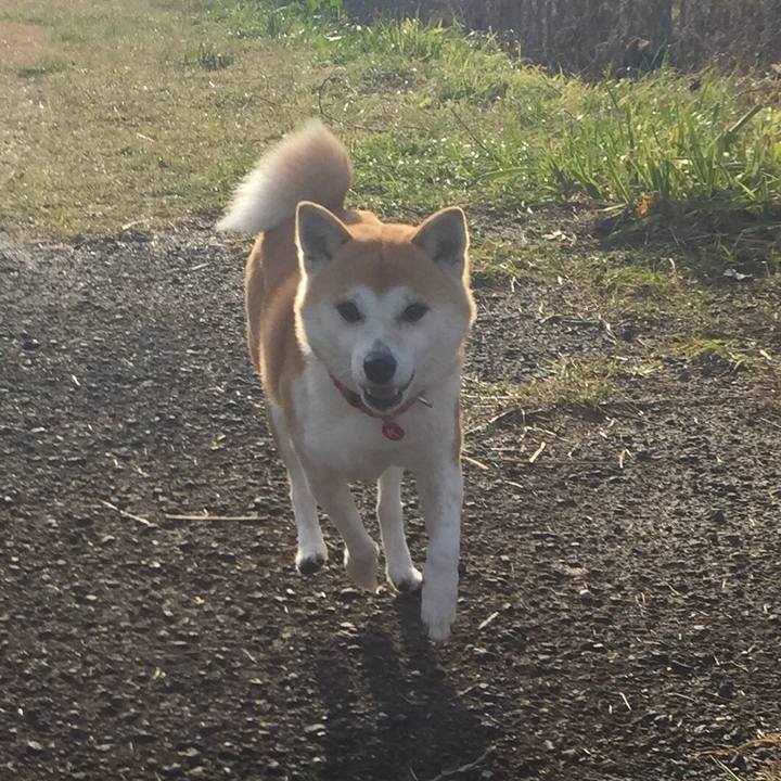 2084f541 2790 4c37 a4ac 1e61a5c4665b