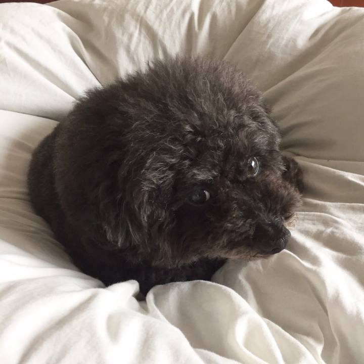 20859208 3487 41a4 a358 b2fc642a4736