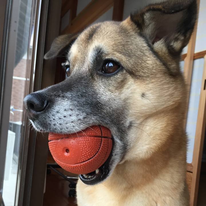 208594c9 812a 4820 85b5 7f4937ae5239