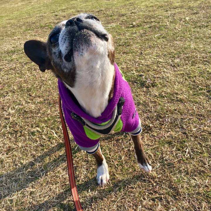 2085be25 fdf6 4585 ab52 4f6066195c45