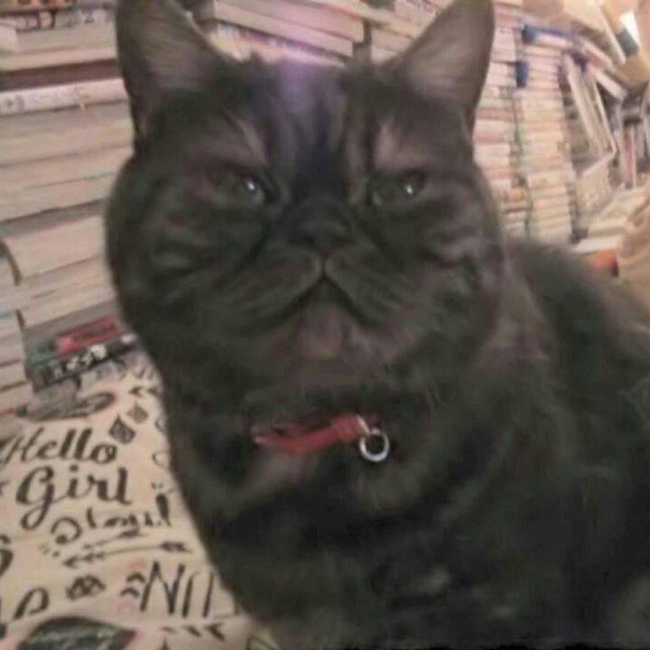 2085beea 2996 4b2f 8387 7fadc3559abe