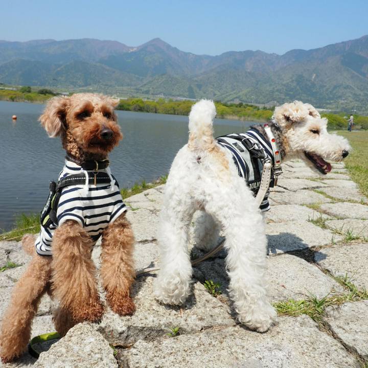 20864522 41de 496c 9f25 a97b4de08e91