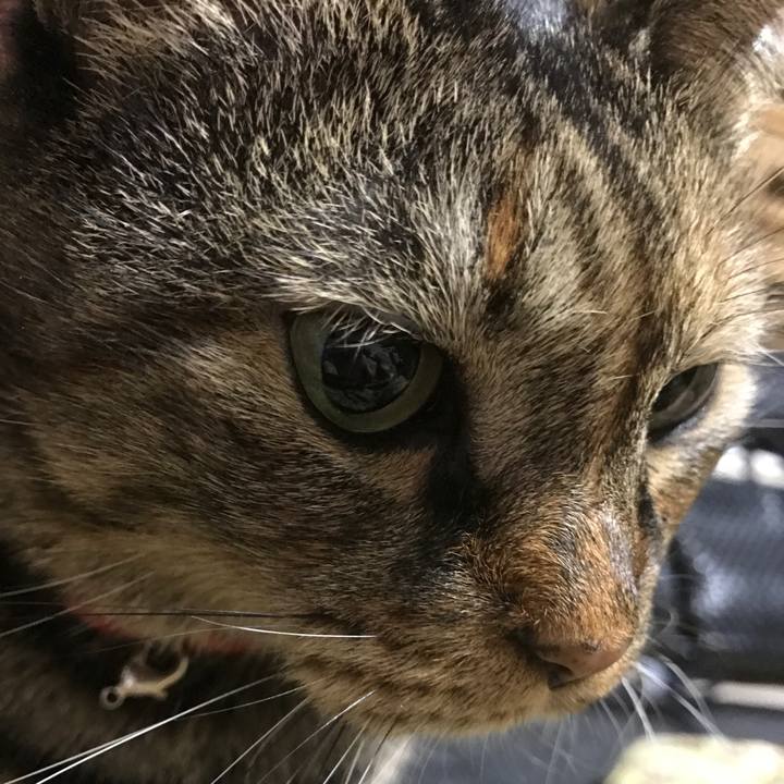 20873cf7 19c5 4de7 b510 23f6d9f9aef8